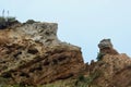 The Ã¢â¬ÅwildÃ¢â¬Â West Coast of New Zealand: rugged coastal cliffs shaped by powerful processes of erosion and sedimentation